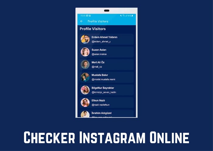 Checker Instagram Online