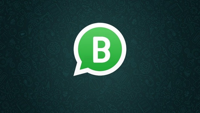cara menggunakan whatsapp business