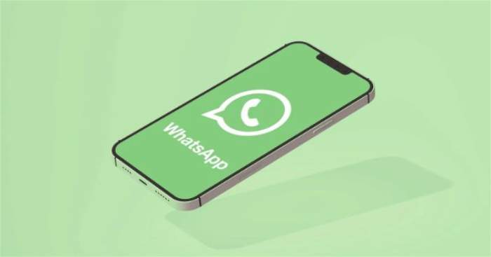 Cara Instal Aplikasi RA Whatsapp