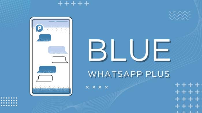 Cara Menggunakan Blue Whatsapp