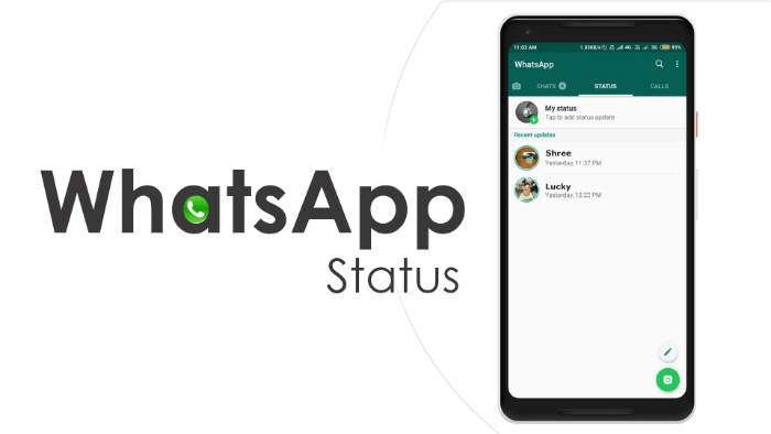 Mengubah Status Whatsapp